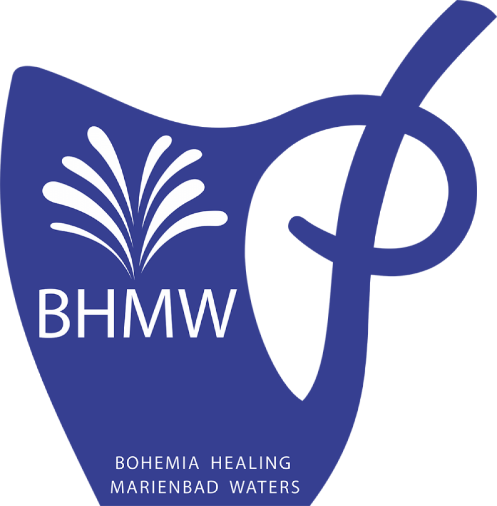 Logo - BHMW a.s.